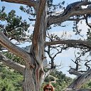 ���� ���������, ������������, 63 ���� - ��������� 22 ���� 2023