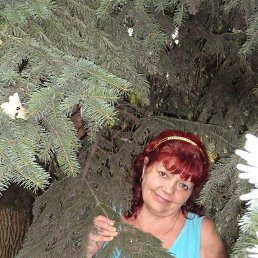 ���� ������, ���������, 68 ��� - ��������� 11 ��� 2023