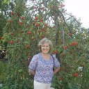 ���� ������, ��������� - ��������� 15 ������� 2023 � ������ ���� ����������