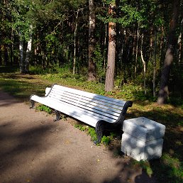 ���� ����, �����-���������, 40 ��� - ��������� 13 ������� 2023