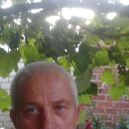 ����, �������, 59 ���