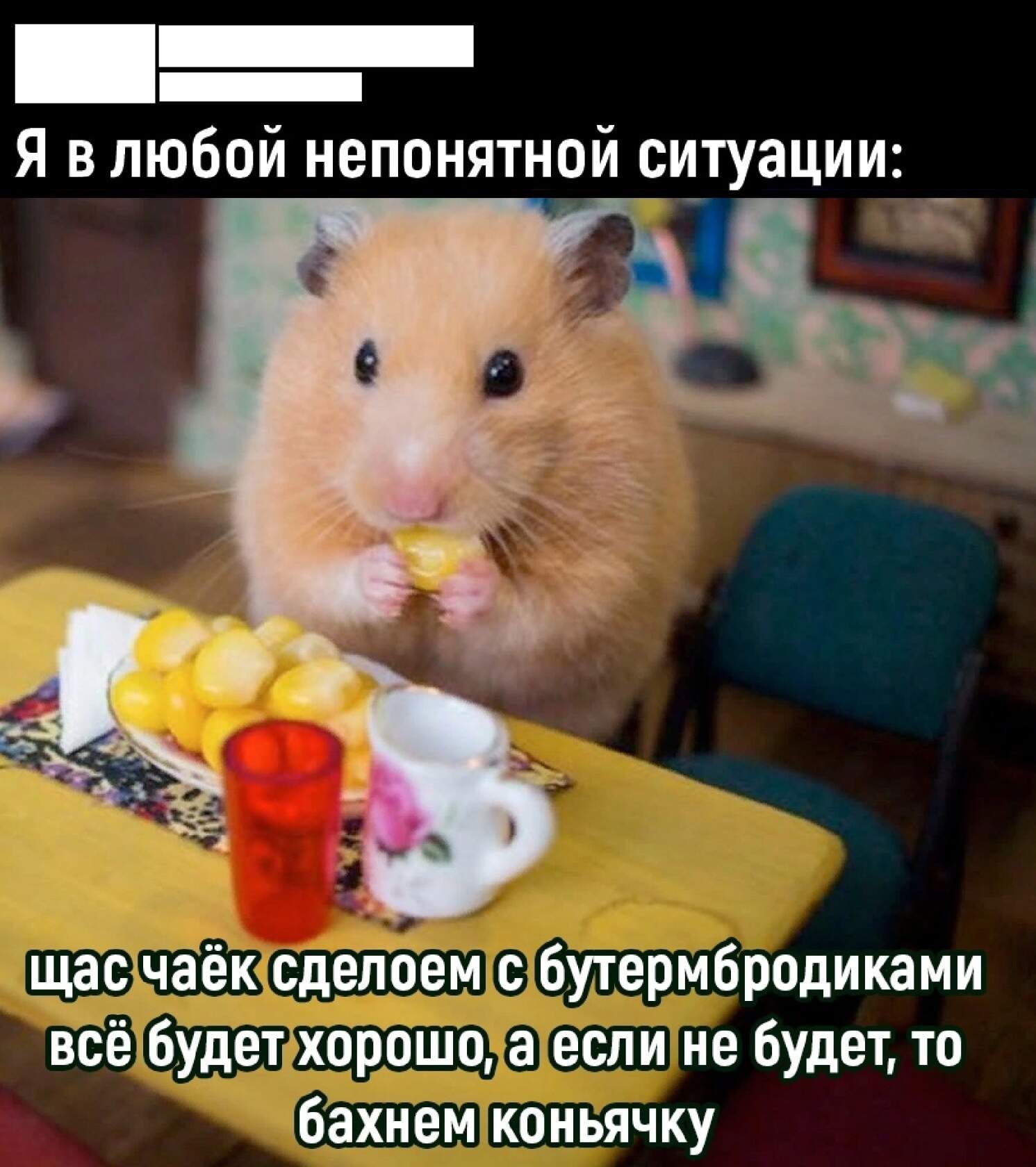 ***Victoria Viktorovna*** - 16  2023  04:30
