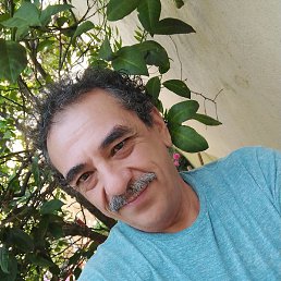 Gil, ������, 61 ���