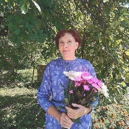 ���� �����, �����, 66 ��� - ��������� 17 ����� 2023