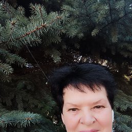 ���� �������, �������, 65 ��� - ��������� 6 ������ 2023