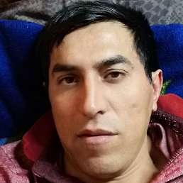 �������, �����-���������, 39 ���