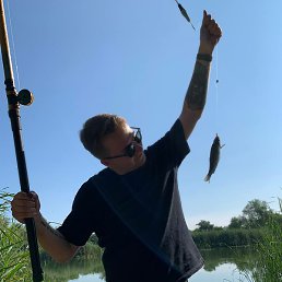 �������, �������, 49 ���