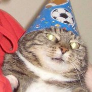 ����, 36 ���, �����-���������