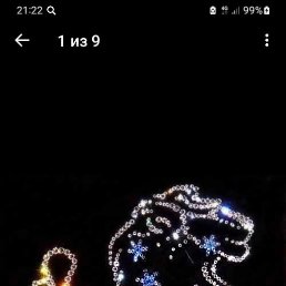 ����, ���������, 44 ����