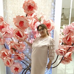 �����, �����, 43 ����