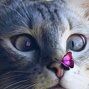 ���� Oleg, �������, 43 ���� - ��������� 7 ����� 2023 � ������ ���� ����������