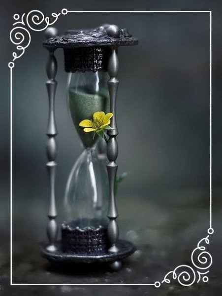 Люди не меняются! Но они: - обучаются, - становятся собой, - лучше чувствуют свои границы, - ...