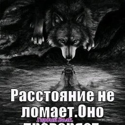 No & & &, ����������, 31 ���