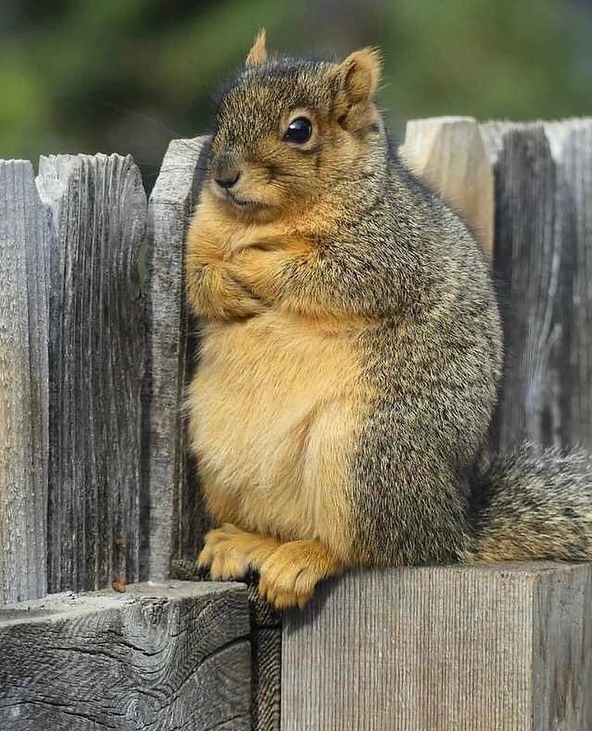   ? :)