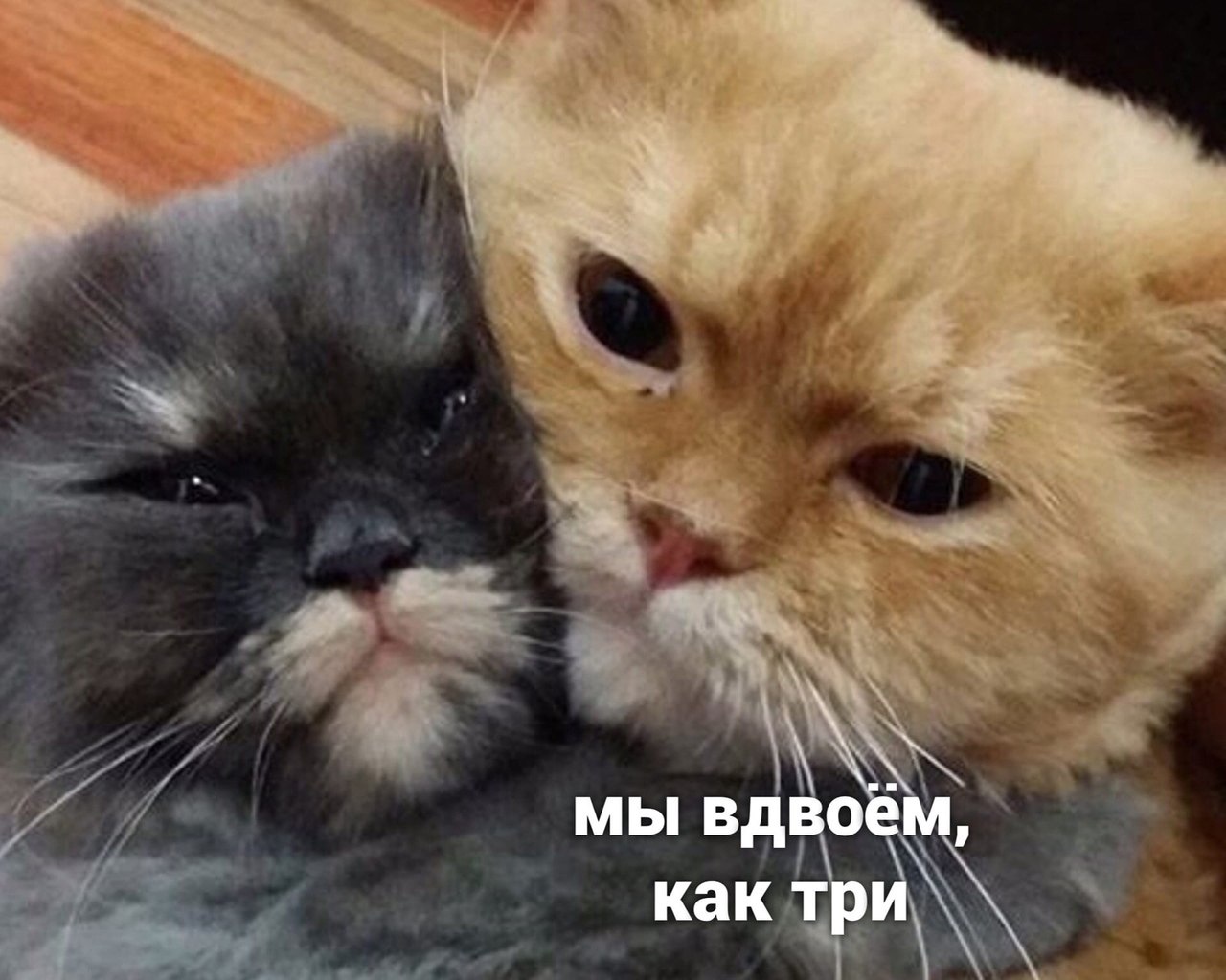   - 3