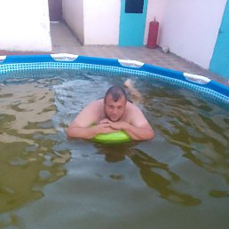 ������, ���������, 36 ���