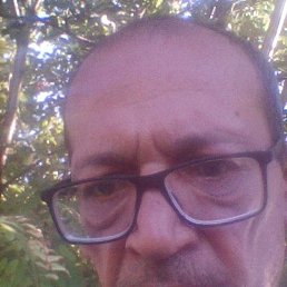 ������, ���, 55 ���