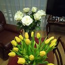 ���� ���������, �����, 63 ���� - ��������� 9 ����� 2023 � ������ ���� ����������