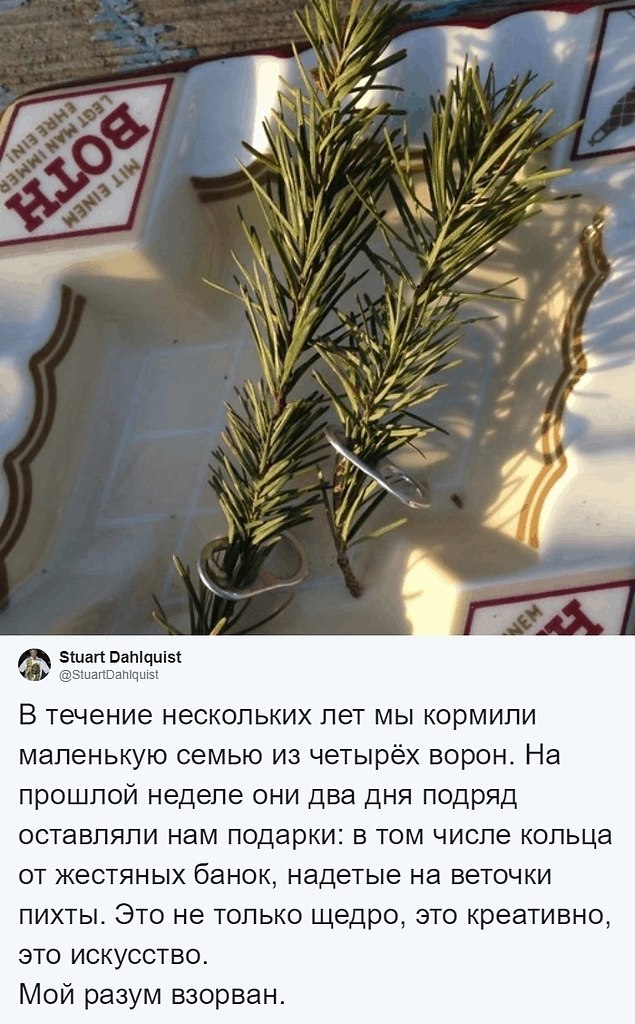      ,      . - 4