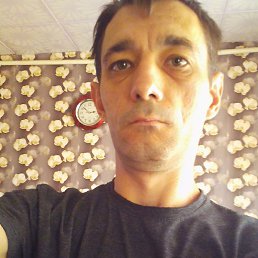 ������, ��������, 41 ���