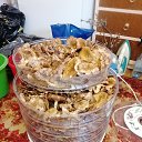 ���� ������, ���������� - ��������� 10 �������� 2023 � ������ ������ ��������