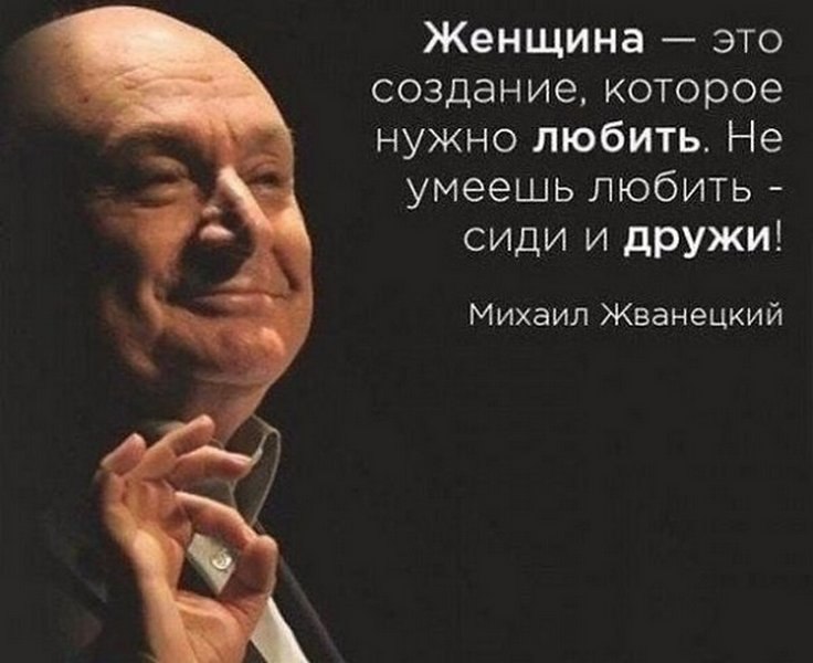 Lunapet - 8  2023  13:52