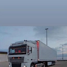 ���� ������, �����, 52 ���� - ��������� 31 ���� 2023