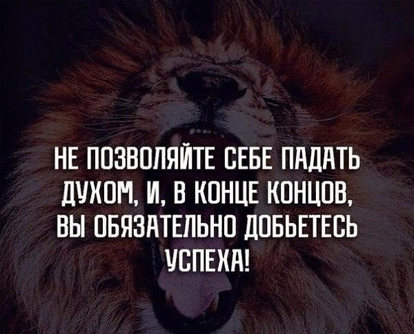������� ������ � ����!