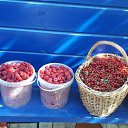 ���� ������, �����-���������, 70 ��� - ��������� 30 ���� 2023 � ������ �����