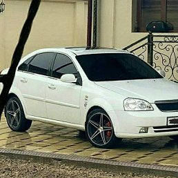  Yolgiz Bori, , 21  -  16  2023
