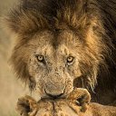 ���� ������, �����-���������, 46 ��� - ��������� 18 ������� 2023 � ������ ���� ����������