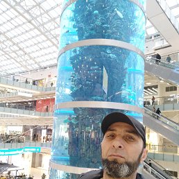 ���� ����, ������, 48 ��� - ��������� 13 �������� 2023