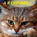 ���� ����, �������, 43 ���� - ��������� 2 ���� 2023 � ������ ���� ����������