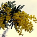 ���� Video, ���������, 39 ��� - ��������� 23 ����� 2023 � ������ ���� ����������