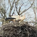 ���� ������, �����, 49 ��� - ��������� 17 ������ 2023 � ������ ���� ����������