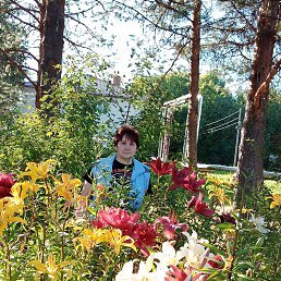 ���� ��������, �����������, 53 ���� - ��������� 2 �������� 2023