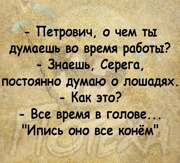  - 13  2023  11:56