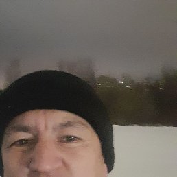 Homid, ������, 49 ���