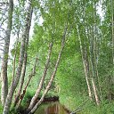 ���� Michail, ������, 42 ���� - ��������� 7 ������� 2023 � ������ ���� ����������