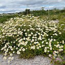 ���� ��������, ������, 33 ���� - ��������� 14 ���� 2023 � ������ ���� ����������