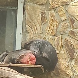 ���� �&hellip;.., ������� ������, 44 ���� - ��������� 2 ���� 2023