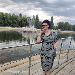 ��������, ������, 51 ���