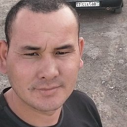 ��������, �������, 40 ���