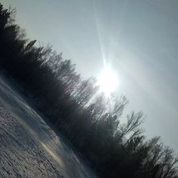 ���� �����, ����������, 38 ��� - ��������� 23 ���� 2023