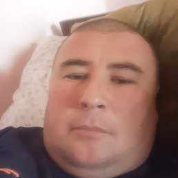 ������ ��������, �����, 42 ����