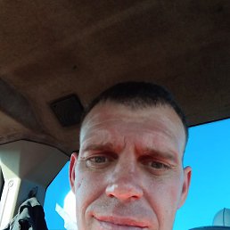 �������, �����������, 36 ���