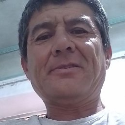 , , 53 