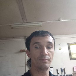 ���� ������, ���, 50 ��� - ��������� 12 ���� 2023