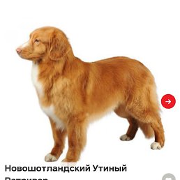 ���� �������, ������ ��������, 21 ��� - ��������� 6 ������ 2023