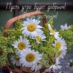 ������, ������������, 51 ���